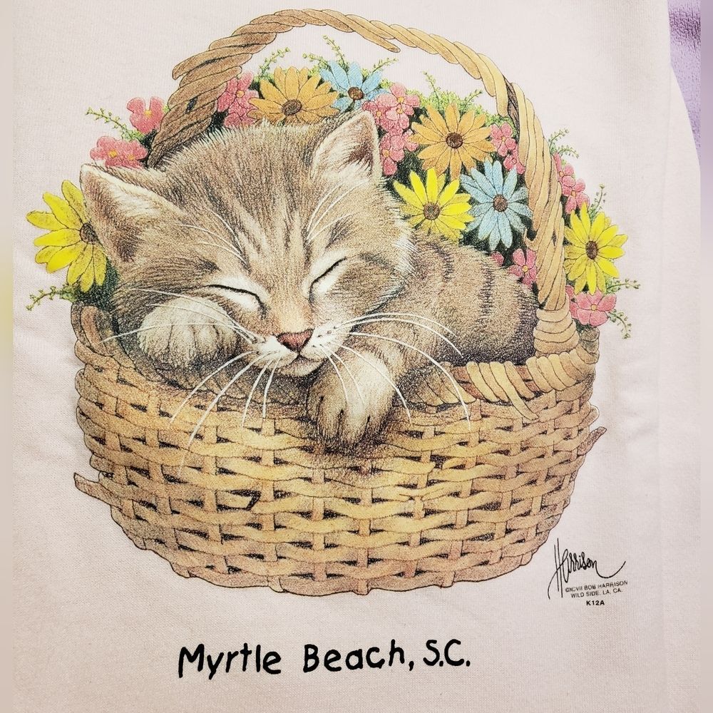 Cat in  a Basket Sweatshirt, Womens, Medium, Pink